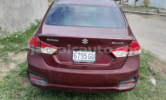 Buy Used Suzuki Ciaz Red Car in Mandeville in Manchester Buy Used Suzuki Ciaz Red Car in Mandeville in Manchester