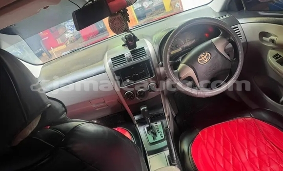 Buy Used Toyota Corolla Red Car in Mandeville in Manchester Buy Used Toyota Corolla Red Car in Mandeville in Manchester