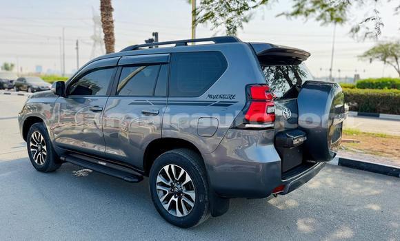 Buy Used Toyota Land Cruiser Prado Other Car in Import - Dubai in Clarendon Buy Used Toyota Land Cruiser Prado Other Car in Import - Dubai in Clarendon