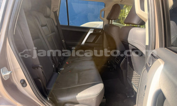Buy Used Toyota Land Cruiser Prado Brown Car in Import - Dubai in Clarendon Buy Used Toyota Land Cruiser Prado Brown Car in Import - Dubai in Clarendon
