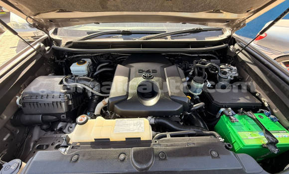 Buy Used Toyota Land Cruiser Prado Brown Car in Import - Dubai in Clarendon Buy Used Toyota Land Cruiser Prado Brown Car in Import - Dubai in Clarendon