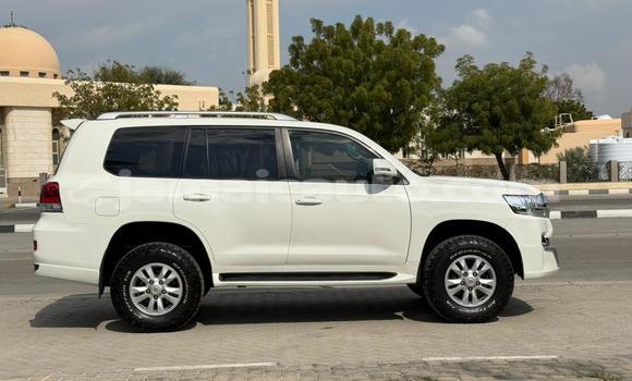 Buy Used Toyota Land Cruiser White Car in Import - Dubai in Clarendon Buy Used Toyota Land Cruiser White Car in Import - Dubai in Clarendon