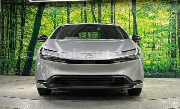 Buy Used Toyota Prius Silver Car in Kingston in Kingston Buy Used Toyota Prius Silver Car in Kingston in Kingston