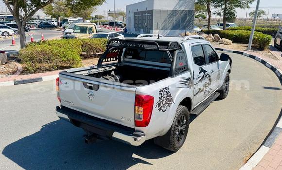 Buy Used Nissan Navara Silver Car in Import - Dubai in Clarendon Buy Used Nissan Navara Silver Car in Import - Dubai in Clarendon
