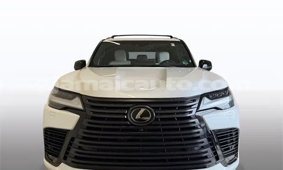 Buy Used Lexus LX White Car in Kingston in Kingston