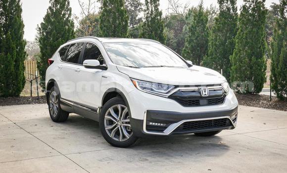 Buy Used Honda CR–V White Car in Kingston in Kingston