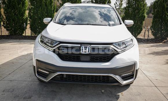 Buy Used Honda CR–V White Car in Kingston in Kingston Buy Used Honda CR–V White Car in Kingston in Kingston