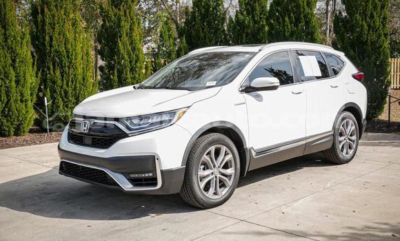 Buy Used Honda CR–V White Car in Kingston in Kingston Buy Used Honda CR–V White Car in Kingston in Kingston