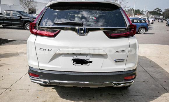 Buy Used Honda CR–V White Car in Kingston in Kingston Buy Used Honda CR–V White Car in Kingston in Kingston