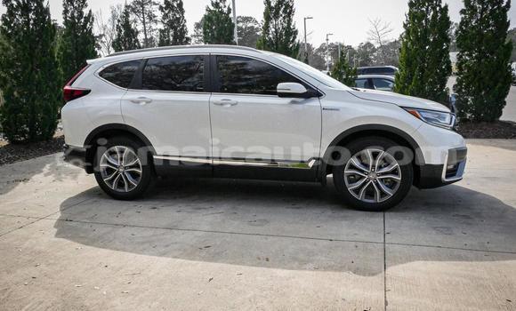 Buy Used Honda CR–V White Car in Kingston in Kingston Buy Used Honda CR–V White Car in Kingston in Kingston