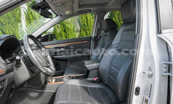Buy Used Honda CR–V White Car in Kingston in Kingston Buy Used Honda CR–V White Car in Kingston in Kingston
