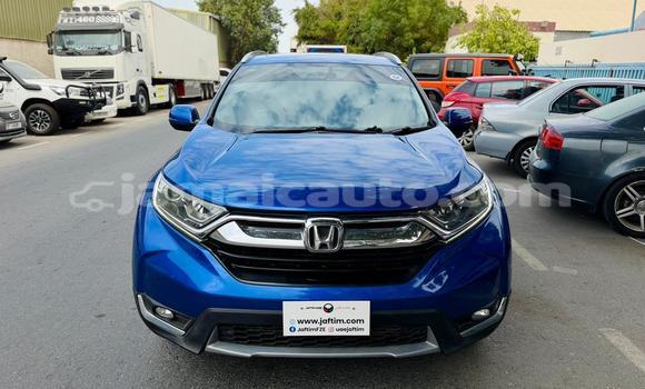Buy Used Honda CR–V Blue Car in Import - Dubai in Clarendon