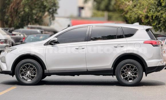 Buy Used Toyota RAV4 Silver Car in Import - Dubai in Clarendon Buy Used Toyota RAV4 Silver Car in Import - Dubai in Clarendon