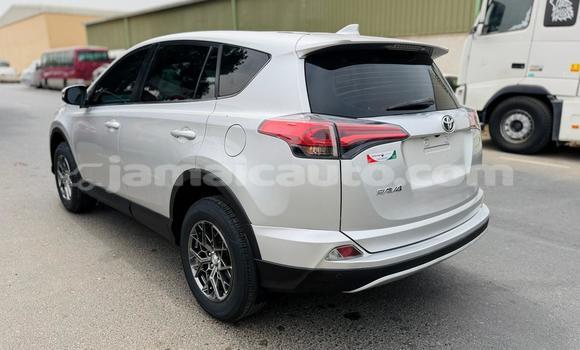 Buy Used Toyota RAV4 Silver Car in Import - Dubai in Clarendon Buy Used Toyota RAV4 Silver Car in Import - Dubai in Clarendon