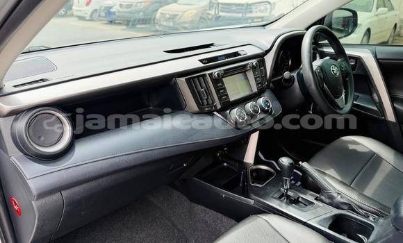 Buy Used Toyota RAV4 Silver Car in Import - Dubai in Clarendon Buy Used Toyota RAV4 Silver Car in Import - Dubai in Clarendon