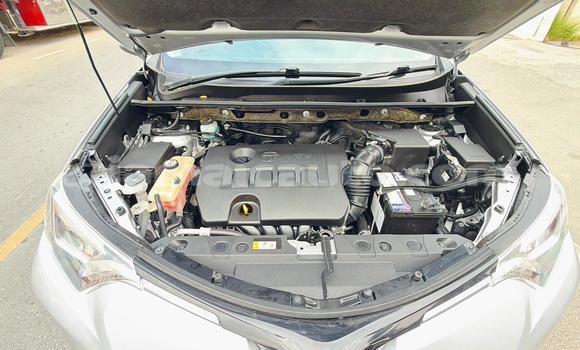 Buy Used Toyota RAV4 Silver Car in Import - Dubai in Clarendon Buy Used Toyota RAV4 Silver Car in Import - Dubai in Clarendon