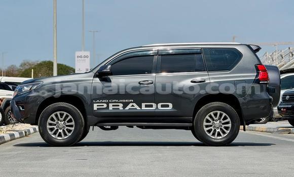 Buy Used Toyota Land Cruiser Prado Other Car in Import - Dubai in Clarendon Buy Used Toyota Land Cruiser Prado Other Car in Import - Dubai in Clarendon