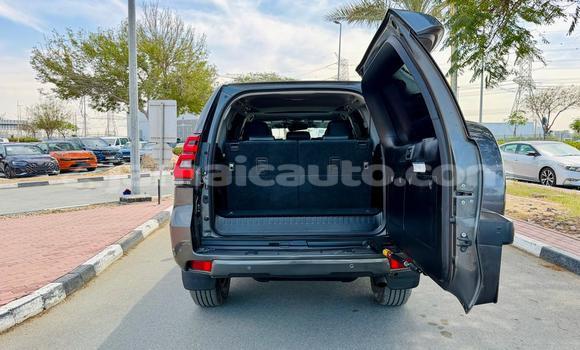 Buy Used Toyota Land Cruiser Prado Other Car in Import - Dubai in Clarendon Buy Used Toyota Land Cruiser Prado Other Car in Import - Dubai in Clarendon