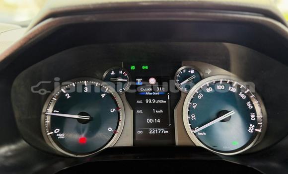 Buy Used Toyota Land Cruiser Prado Other Car in Import - Dubai in Clarendon Buy Used Toyota Land Cruiser Prado Other Car in Import - Dubai in Clarendon