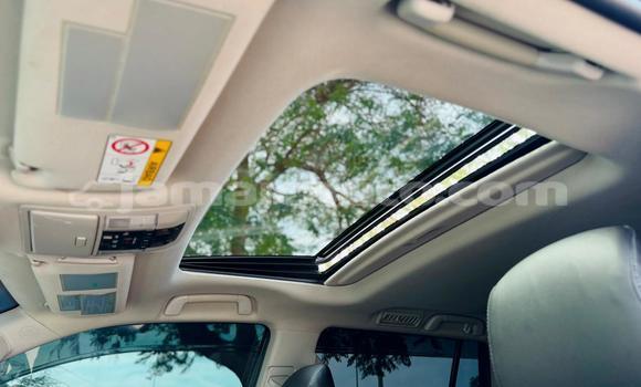 Buy Used Toyota Land Cruiser Prado Other Car in Import - Dubai in Clarendon Buy Used Toyota Land Cruiser Prado Other Car in Import - Dubai in Clarendon