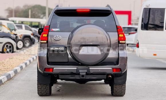 Buy Used Toyota Land Cruiser Prado Black Car in Import - Dubai in Clarendon Buy Used Toyota Land Cruiser Prado Black Car in Import - Dubai in Clarendon
