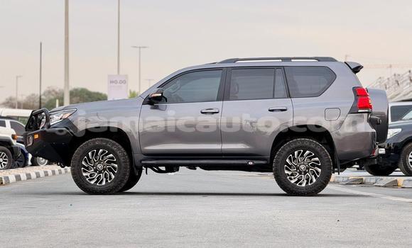 Buy Used Toyota Land Cruiser Prado Black Car in Import - Dubai in Clarendon Buy Used Toyota Land Cruiser Prado Black Car in Import - Dubai in Clarendon