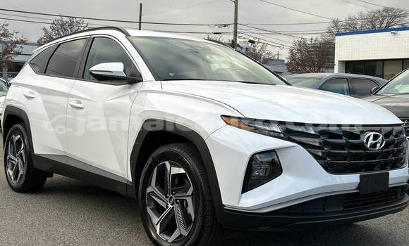 Buy Used Hyundai Tucson White Car in Kingston in Kingston