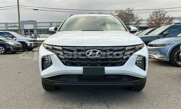 Buy Used Hyundai Tucson White Car in Kingston in Kingston Buy Used Hyundai Tucson White Car in Kingston in Kingston