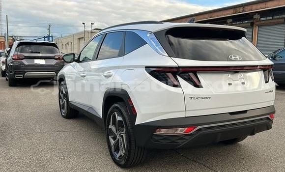 Buy Used Hyundai Tucson White Car in Kingston in Kingston Buy Used Hyundai Tucson White Car in Kingston in Kingston