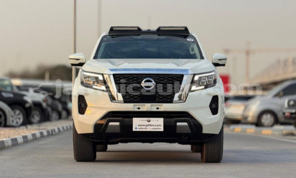 Buy Used Nissan Navara White Car in Import - Dubai in Clarendon