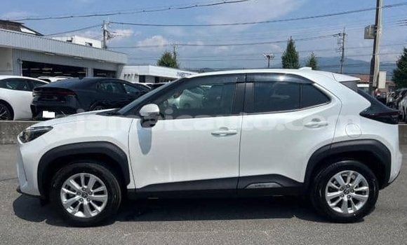 Buy Used Toyota Yaris White Car in Kingston in Kingston Buy Used Toyota Yaris White Car in Kingston in Kingston