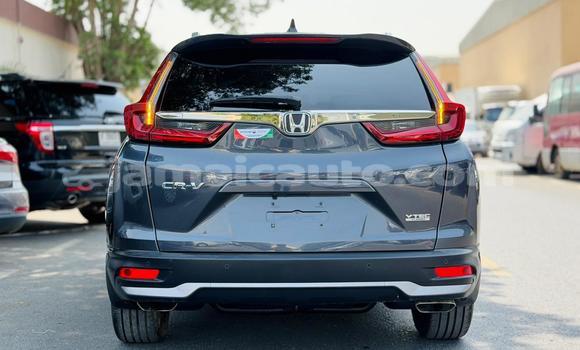 Buy Used Honda CR–V Blue Car in Import - Dubai in Clarendon Buy Used Honda CR–V Blue Car in Import - Dubai in Clarendon