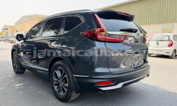 Buy Used Honda CR–V Blue Car in Import - Dubai in Clarendon Buy Used Honda CR–V Blue Car in Import - Dubai in Clarendon