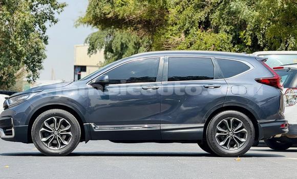 Buy Used Honda CR–V Other Car in Import - Dubai in Clarendon Buy Used Honda CR–V Other Car in Import - Dubai in Clarendon