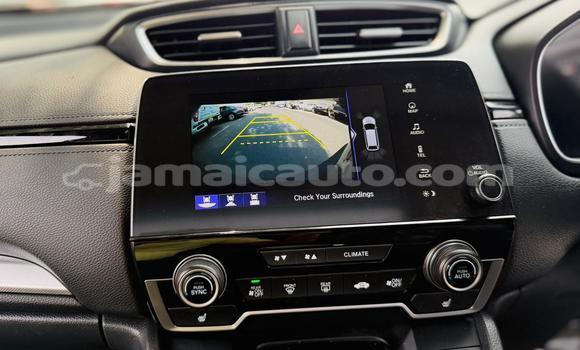 Buy Used Honda CR–V Other Car in Import - Dubai in Clarendon Buy Used Honda CR–V Other Car in Import - Dubai in Clarendon