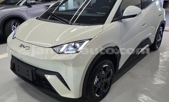 Buy Used BYD S6 White Car in Kingston in Kingston