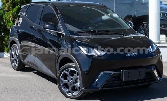 Buy Used BYD S6 White Car in Kingston in Kingston Buy Used BYD S6 White Car in Kingston in Kingston