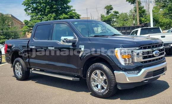 Buy Used Ford F–150 Black Car in Kingston in Kingston