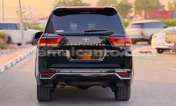 Acheter Occasion Voiture Toyota Land Cruiser Noir à Import - Dubai, Clarendon Acheter Occasion Voiture Toyota Land Cruiser Noir à Import - Dubai, Clarendon