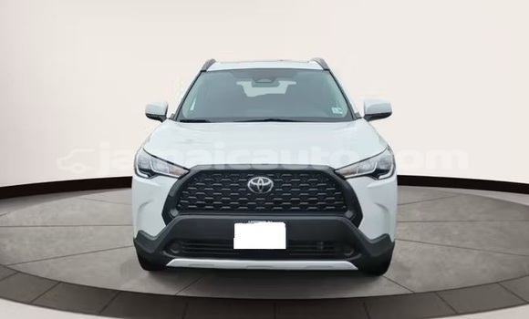 Buy Used Toyota Corolla Cross White Car in Kingston in Kingston