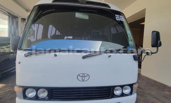 Acheter Occasion Voiture Toyota Coaster Blanc à Falmouth, Trelawney Acheter Occasion Voiture Toyota Coaster Blanc à Falmouth, Trelawney