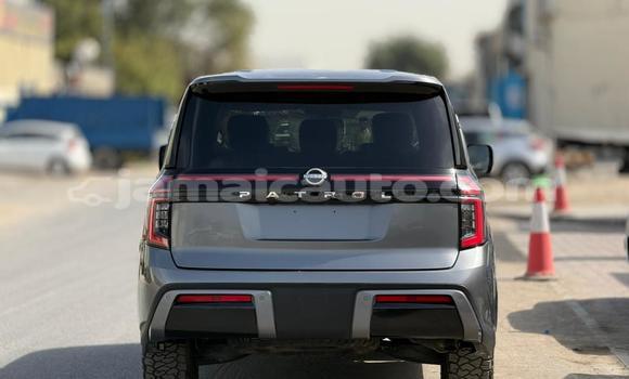 Buy Used Nissan Patrol Other Car in Import - Dubai in Clarendon Buy Used Nissan Patrol Other Car in Import - Dubai in Clarendon
