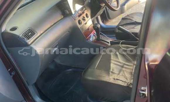Buy Used Toyota Allex Other Car in Lucea in Hanover Buy Used Toyota Allex Other Car in Lucea in Hanover