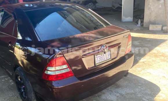 Buy Used Toyota Allex Other Car in Lucea in Hanover Buy Used Toyota Allex Other Car in Lucea in Hanover