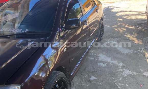 Buy Used Toyota Allex Other Car in Lucea in Hanover Buy Used Toyota Allex Other Car in Lucea in Hanover