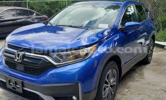 Buy Used Honda CR–V Other Car in Falmouth in Trelawney Buy Used Honda CR–V Other Car in Falmouth in Trelawney