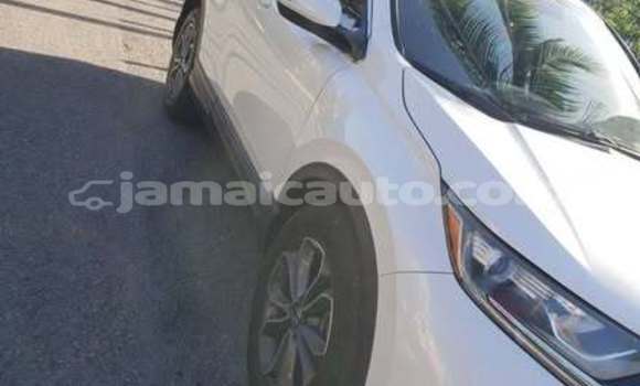 Buy Used Honda Accord Other Car in Falmouth in Trelawney Buy Used Honda Accord Other Car in Falmouth in Trelawney