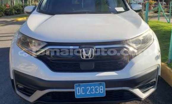 Buy Used Honda Accord Other Car in Falmouth in Trelawney Buy Used Honda Accord Other Car in Falmouth in Trelawney