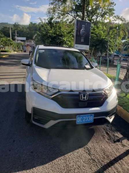 Big with watermark honda accord trelawney falmouth 5697