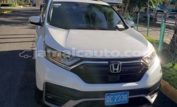 Buy Used Honda Accord Other Car in Falmouth in Trelawney Buy Used Honda Accord Other Car in Falmouth in Trelawney